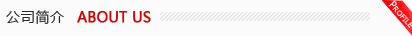 公司简介